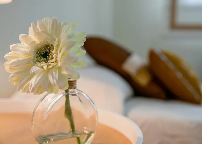 Piso Turistico Perotas * Arevalo